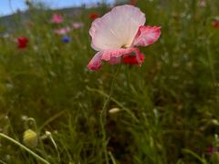 -西岭雪山大飞水景区