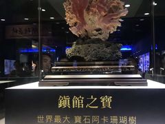 -绮丽珊瑚博物馆(台东店)