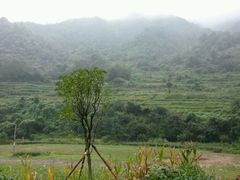 android_upload_pic-虎啸峡漂流