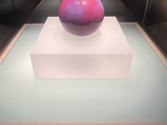-辽宁省博物馆