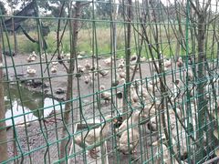 -洪湖家庭农场·团建·露营·会议