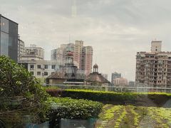 -拈菜(观音桥阳光世纪店)