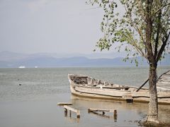 -洱海月湿地公园