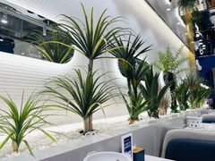 -兰湘子·湘菜小炒(崂山丽达店)