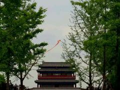 android_upload_pic-永定门公园