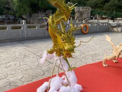 -北京西山国家森林公园