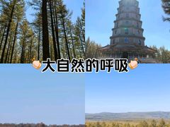 -塞罕坝国家级自然保护区