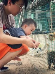 -上美四季动物农场