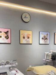 -洗脸猫·洗脸吧