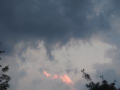 -重庆海昌加勒比海水世界