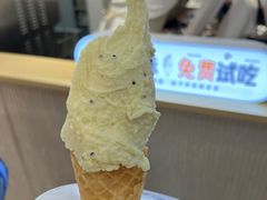 -野人先生现做冰淇淋(西安赛格店)