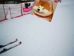 -华彬猛犸滑雪场