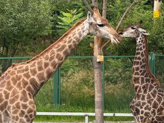 -水上乐园·欢乐世界