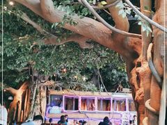 -杭州开元森泊度假乐园