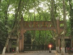 -灵谷景区