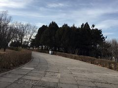 -青龙湖公园