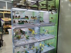 -三旗百汇商品城