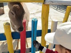 -西部长青自然儿童乐园