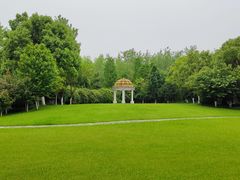 -合肥滨湖国家森林公园