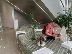 -% Arabica阿拉比卡咖啡(罗湖万象城店)