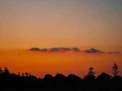 -上海国际音乐村