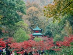 -岳麓山风景名胜区