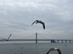 -星海广场