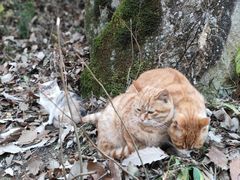 -终南山南五台景区