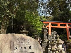 -奈良公园