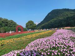 -广州市石门国家森林公园