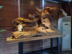 -足本纪·足道 SPA 简餐 小吃(文三西路店)