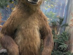 -国家自然博物馆