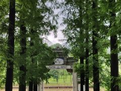 -常德桃花源景区