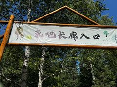 -汤旺河林海奇石景区