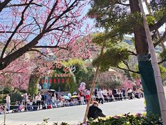 -安吉Hello Kitty乐园