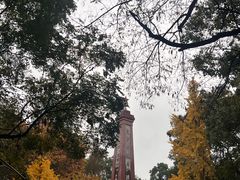 -绵阳人民公园(涪城区)