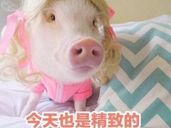 -CoCo都可(汉神购物广场店)