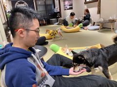 -逗柴咖啡屋·狗咖猫咖宠物桌游