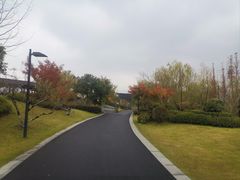-雅达·阳羡溪山小镇中心