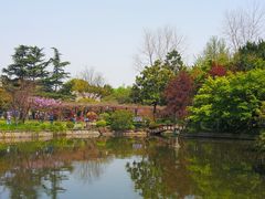 -嘉定紫藤园