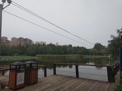 -前关湿地公园