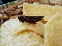 -福照楼汽锅鸡·云南菜(护国路店)