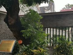 -碧江金楼