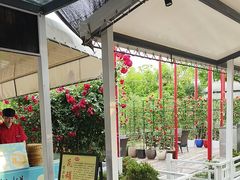 -大队长大灶鹅