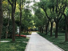 -宋庆龄陵园