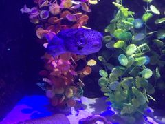 -梦幻海洋王国(吾悦广场张家港店)