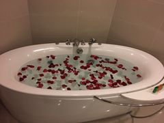 -甸园锦江宾馆(北外滩店)