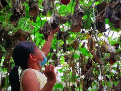 -万源龙顺度假庄园生态观光园