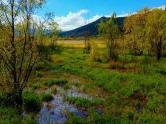 -泸沽湖国家级风景名胜区走婚桥