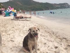 -Jomtien Talay Pao Pattaya